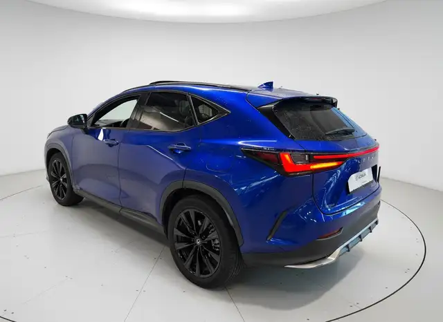 Lexus NX view 4