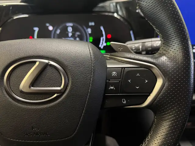 Lexus NX view 12