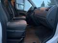 Volkswagen T5 Caravelle Comfortline 140PS DSG 8SP AHK PDC Blanc - thumbnail 13