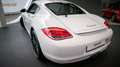 Porsche Cayman *Approved 09/2026*Scheckheftgepflegt* Weiß - thumbnail 27