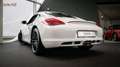 Porsche Cayman *Approved 09/2026*Scheckheftgepflegt* Weiß - thumbnail 26