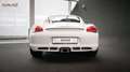 Porsche Cayman *Approved 09/2026*Scheckheftgepflegt* Blanc - thumbnail 29