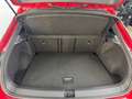 Volkswagen T-Roc 1.5TSI DSG R-Line IQ DRIVE ACC AHK PANO NAVI DI... Rot - thumbnail 14
