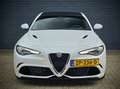 Alfa Romeo Giulia 2.9 V6 Quadrifoglio / CARBON DAK / ADAPT. CRUISE / Blanc - thumbnail 3