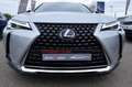 Lexus UX 250h 250H 2WD Šedá - thumbnail 9