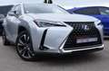 Lexus UX 250h 250H 2WD Šedá - thumbnail 1