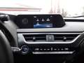 Lexus UX 300e Exe LED ASSI ACC KAM Leder NAVI Silber - thumbnail 13