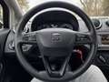 SEAT Ibiza 5p 1.4 tdi cr Style 75cv - thumbnail 13