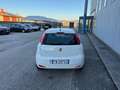 Fiat Punto 5p 1.3 mjt Street Bianco - thumbnail 4