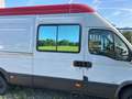 Iveco Daily 50C18V Grau - thumbnail 14