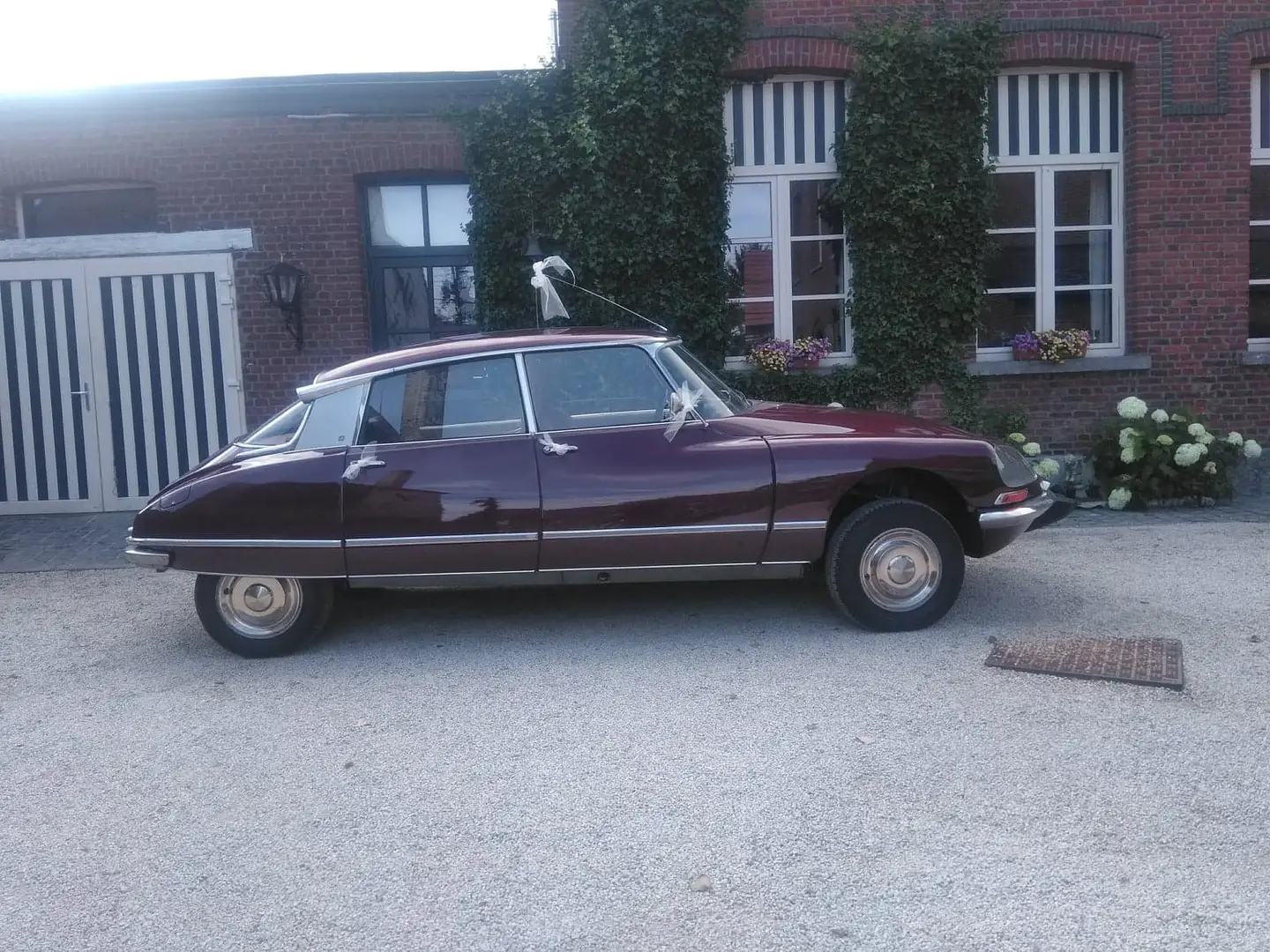 Citroen DS 21 PALLAS Rojo - 2