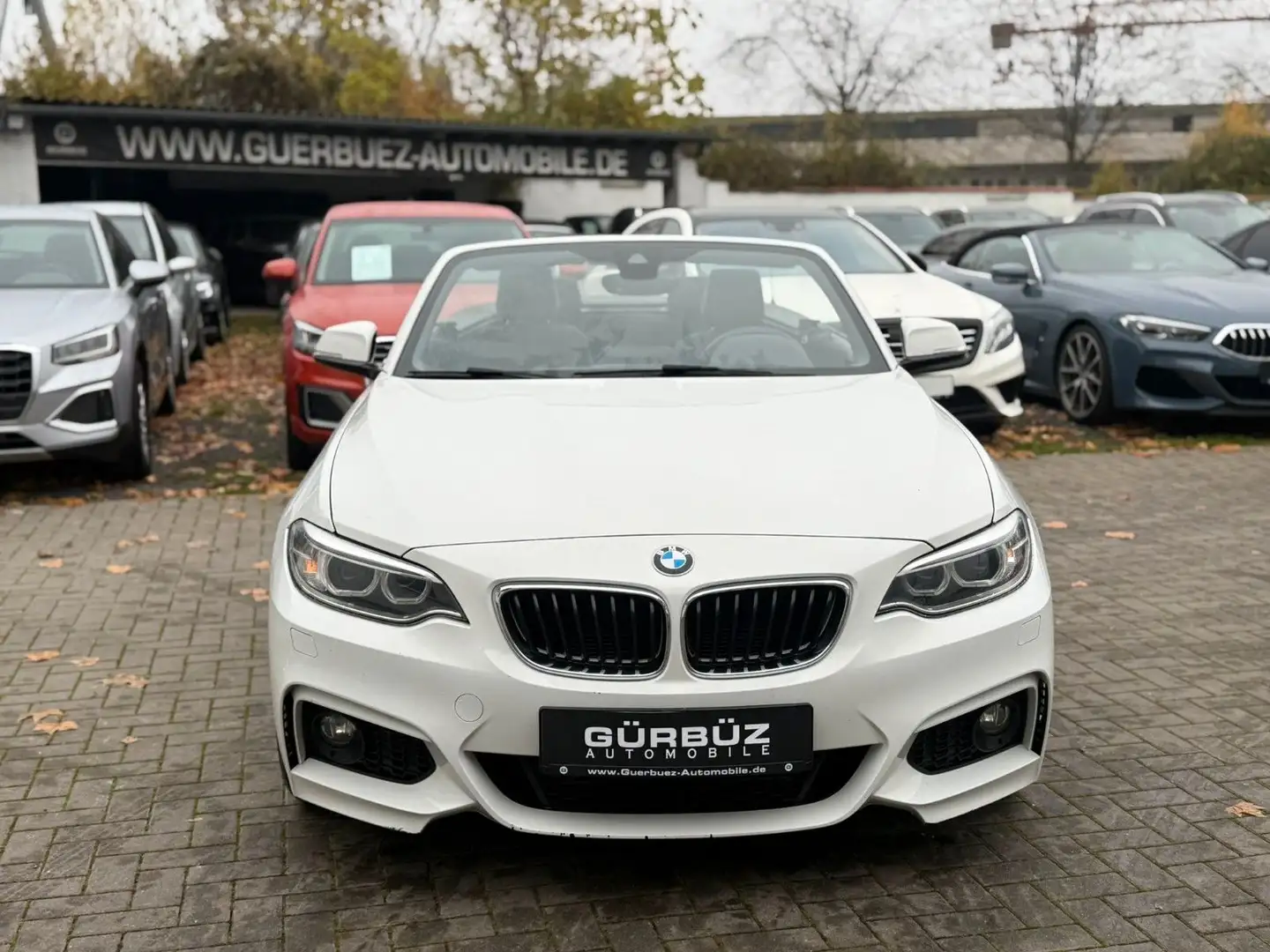 BMW 220 d Cabrio M-Sportpaket*Navi* Weiß - 2