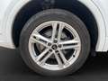 Audi Q5 40 TFSI Q 2x S LINE AHK ACC VIRTUAL LM19 Weiß - thumbnail 7