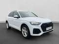 Audi Q5 40 TFSI Q 2x S LINE AHK ACC VIRTUAL LM19 Weiß - thumbnail 19