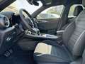 Alfa Romeo Tonale 1.3 280cv Plug in Hybrid AT6 Speciale Q4 Verde - thumbnail 9