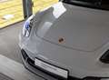 Porsche Panamera 4 E-Hybrid Platinum Edition Aut. Gris - thumbnail 14