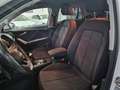 Audi Q2 Q2 I 2021 30 2.0 tdi Business Bianco - thumbnail 8