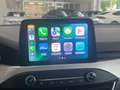 Ford Focus 1.5Ecoblue Trend+ 120 Azul - thumbnail 9