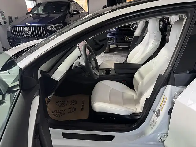 Tesla Model 3 view 12