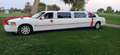 Lincoln Town Car limousine à vendre Wit - thumbnail 1