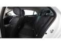 Renault Megane IV 1.5 BLUE dCi 115 Aut LED NAVI SITZHZG Weiß - thumbnail 25