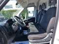 Fiat Ducato 33 2.2 Mjt 120CV PLM-TM Furgone Bianco - thumbnail 15