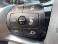 BYD Atto 3 Comfort Verde - thumbnail 22