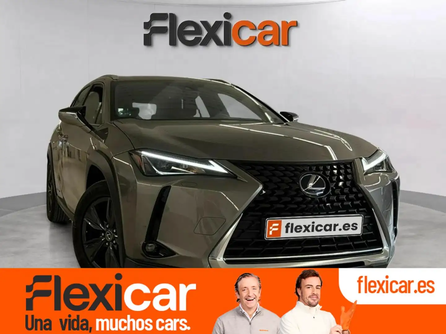Lexus UX 250h 2.0 Business Gris - 1