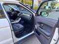 Land Rover Range Rover Evoque Range Rover Evoque 2.0 TD4 150 CV 5p. SE Dynamic Bianco - thumbnail 13