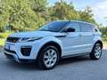 Land Rover Range Rover Evoque Range Rover Evoque 2.0 TD4 150 CV 5p. SE Dynamic Bianco - thumbnail 2