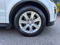 Land Rover Range Rover Evoque Range Rover Evoque 2.0 TD4 150 CV 5p. SE Dynamic Bianco - thumbnail 9
