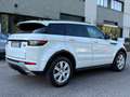 Land Rover Range Rover Evoque Range Rover Evoque 2.0 TD4 150 CV 5p. SE Dynamic Bianco - thumbnail 5