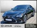 Lexus ES 300 h Business Line sofort verfügbar siva - thumbnail 1