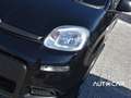 Fiat Panda 1.0 70 cv Hybrid Schwarz - thumbnail 4