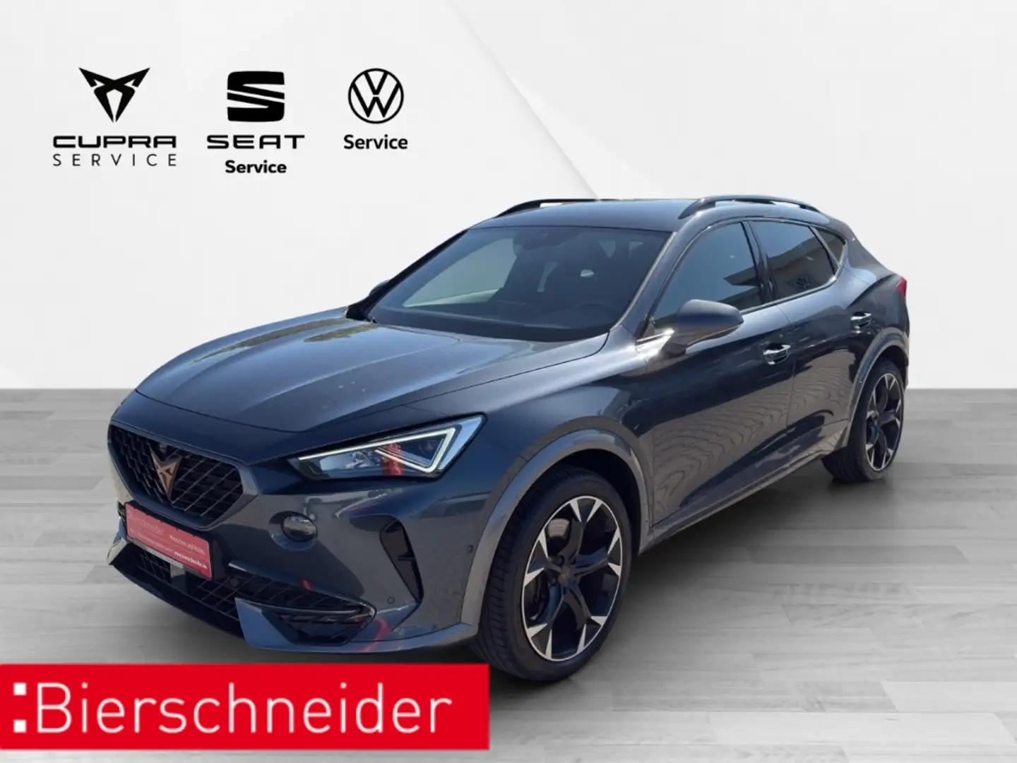 CUPRA Formentor VZ 2.0 TSI DSG Top View FaPa XL LED WP Grau - 1