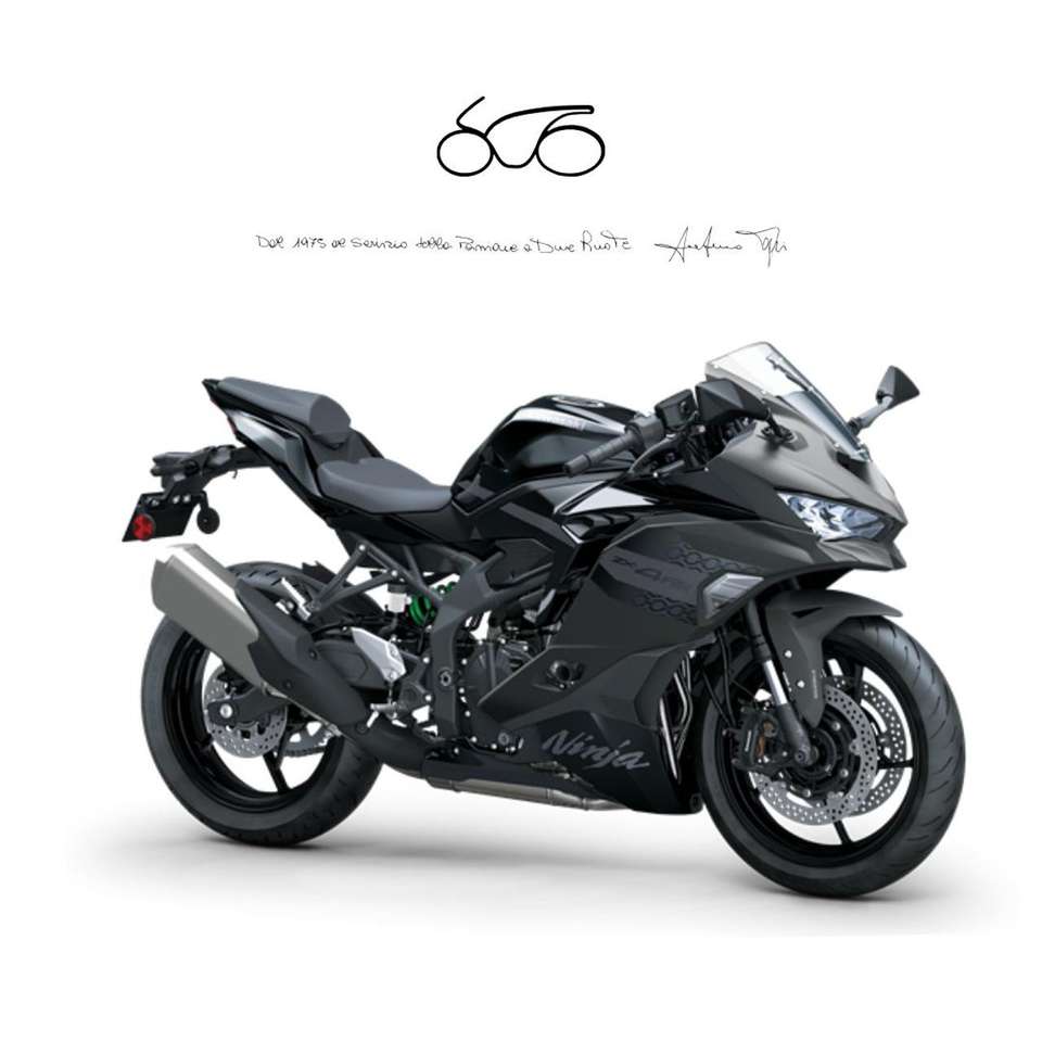Kawasaki Ninja ZX-4RR .