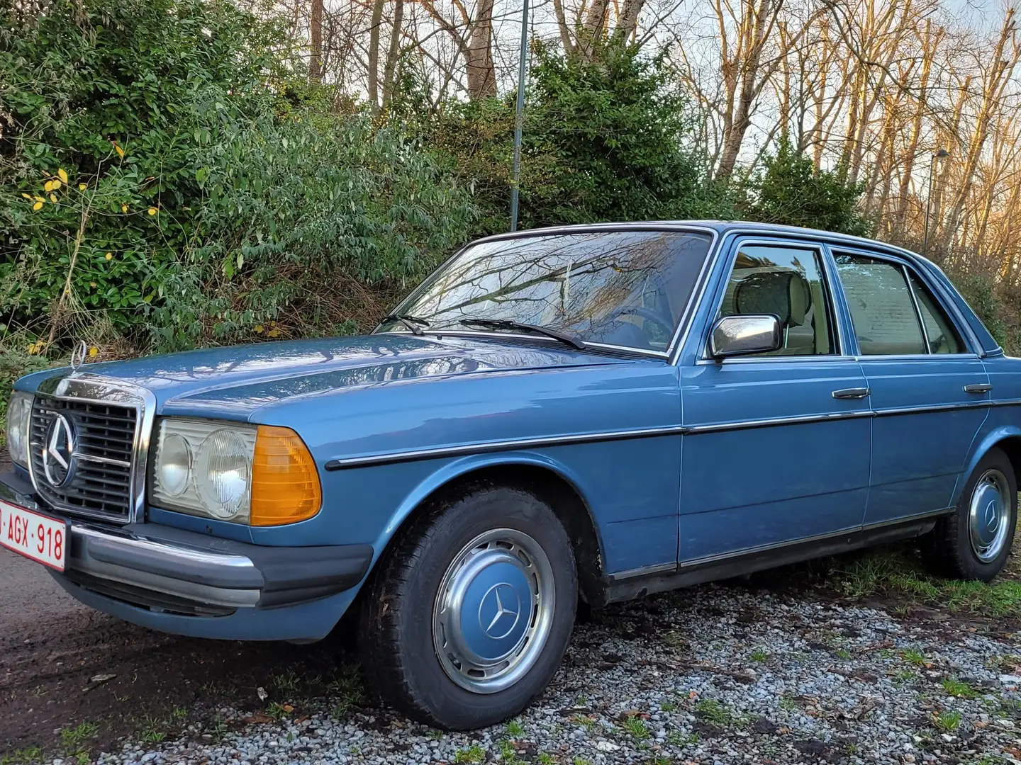 Mercedes-Benz W 114/115 Strich-Acht - 2
