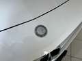 Mercedes-Benz SLK 250 Premium 204cv + Sedili riscaldabili Blanc - thumbnail 7