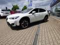 Subaru XV 2.0ie Mild-Hybrid Comfort Start/Stopp (EURO 6d)  N Blanc - thumbnail 1