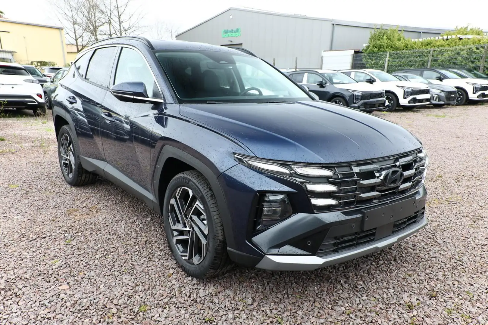 Hyundai TUCSON HEV 4WD 19Z Krell HUD Matrix el.HK 3ZKlim 158 k... Blau - 2