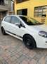 Fiat Punto Evo 5p 1.4 Easypower Pop Gpl 77cv Bianco - thumbnail 5