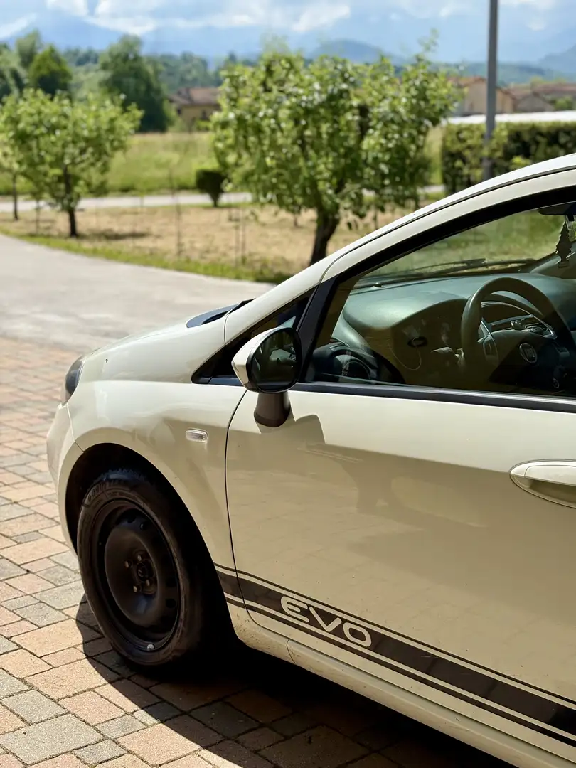 Fiat Punto Evo 5p 1.4 Easypower Pop Gpl 77cv Bianco - 2