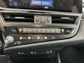 Lexus ES 300 2.5 300h Premium Gris - thumbnail 13
