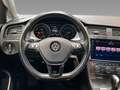 Volkswagen Golf VII e-Golf CCS+Light Assist+PDC+SHz Сірий - thumbnail 14