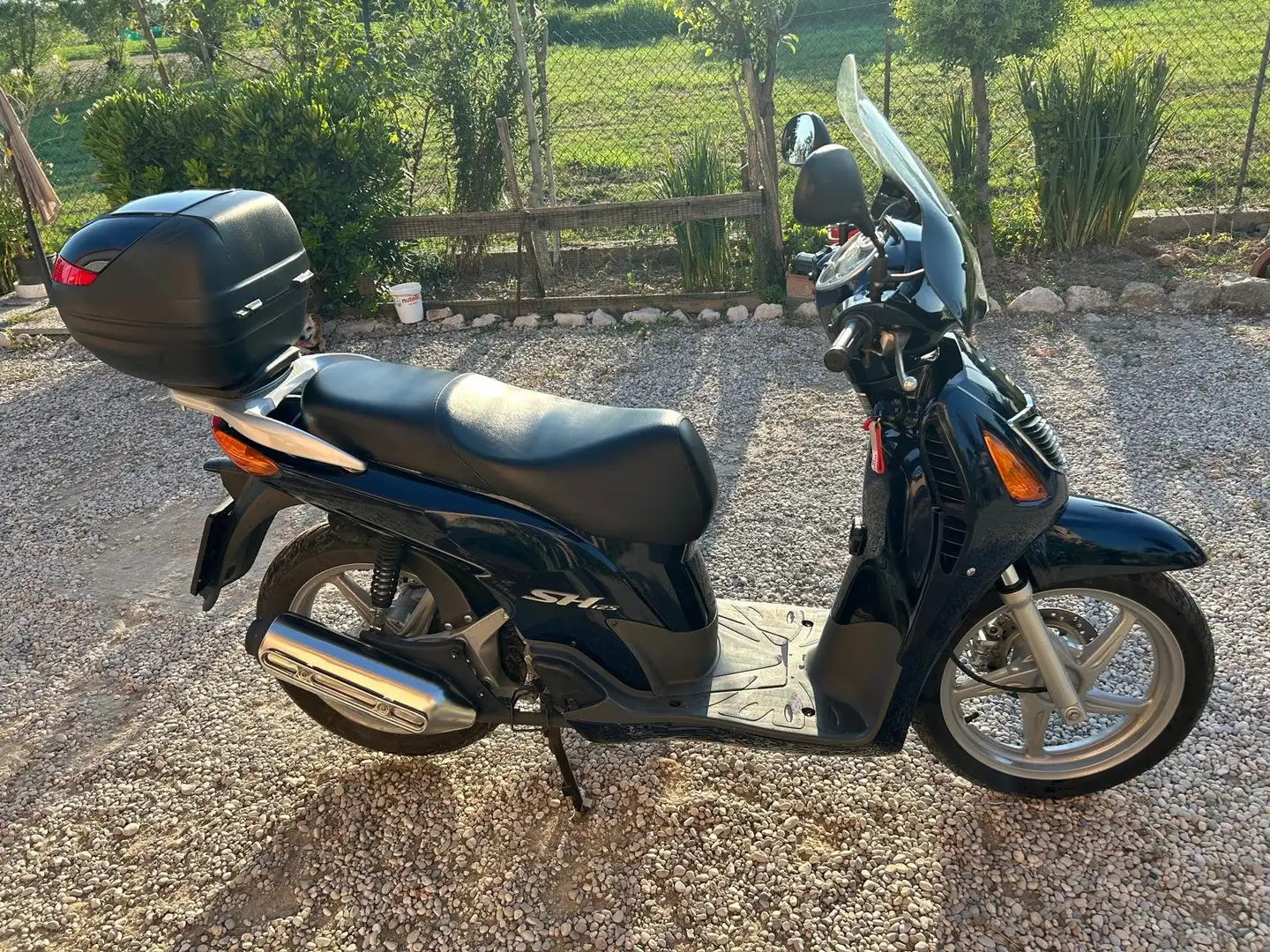 Honda SH 125 Blu/Azzurro - 1