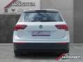 Volkswagen Tiguan 1.4 TSI ACT Comfortline BMT AHK ACC PDC Spurhalte Weiß - thumbnail 6