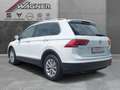 Volkswagen Tiguan 1.4 TSI ACT Comfortline BMT AHK ACC PDC Spurhalte Weiß - thumbnail 5