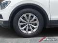 Volkswagen Tiguan 1.4 TSI ACT Comfortline BMT AHK ACC PDC Spurhalte Weiß - thumbnail 4