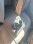 Audi Q2 Q2 2,0 TFSI quattro S-tronic Silber - thumbnail 23