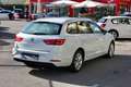 SEAT Leon Leon 1.6 TDI 115 CV DSG ST Business Bianco - thumbnail 4